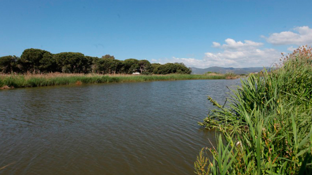 murtra-020714 murtra-020714