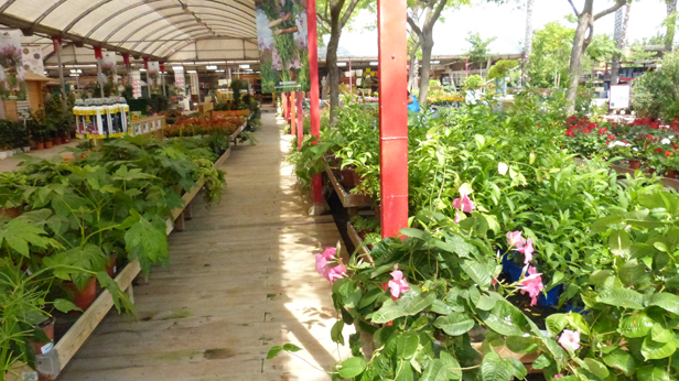 bordas-premi-garden-magazine bordas-premi-garden-magazine