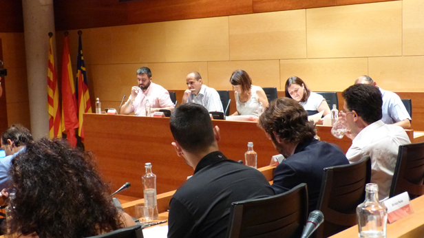 ple-gava-juliol-2015 ple-gava-juliol-2015