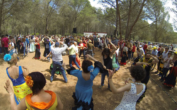 romeria2015 romeria2015