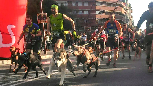 CANICROS-220216 CANICROS-220216