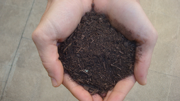 compost-101116 compost-101116