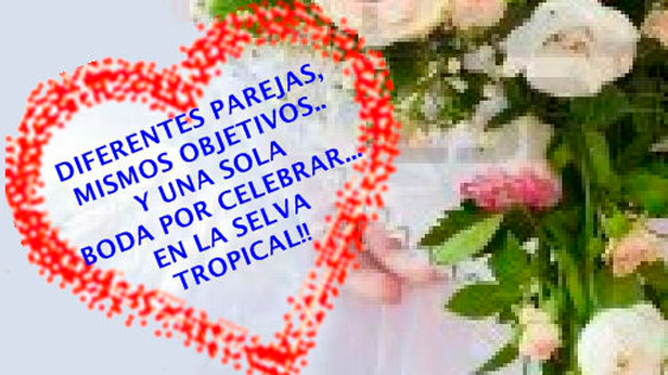 la-boda-de-tus-sueños-010217 la-boda-de-tus-sueños-010217