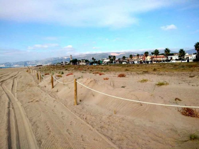 Noves dunes Gavà Castelldefels