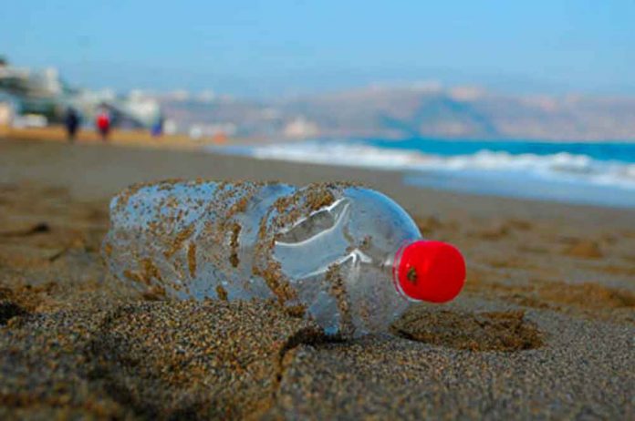 Jornada-de-retirada-de-residus- Clean up day Gavà 2017