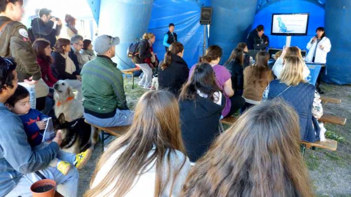 Èxit de participació en la segona edició del Dog Day