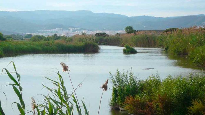 Gavà celebrarà el Dia de la Murtra 2018