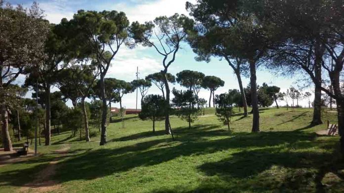 Visita guiada al parc del Calamot 2018