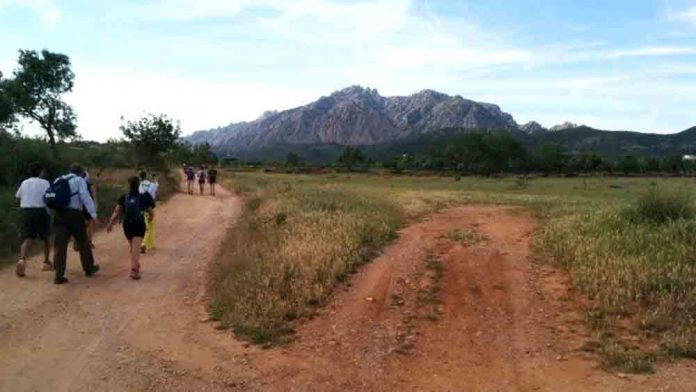Nova excursió a Montserrat de UME