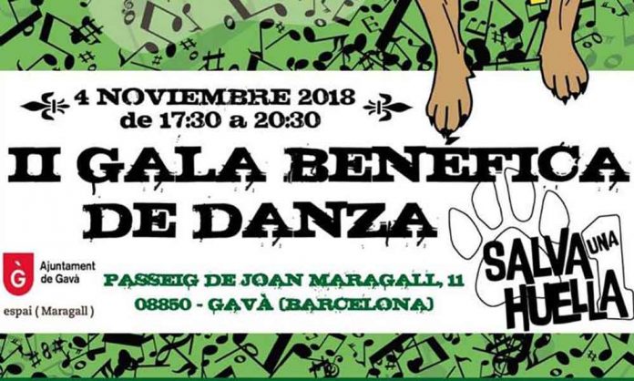 Festival Salva 1 Huella