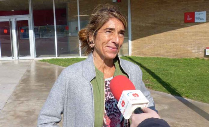Temes del PP al Ple de febrer de 2019