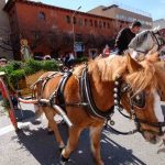 tres-tombs-220219