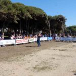 dog-day-1-250319