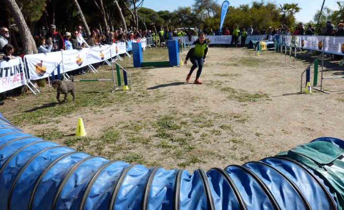 Arriba el Dog Day 2019
