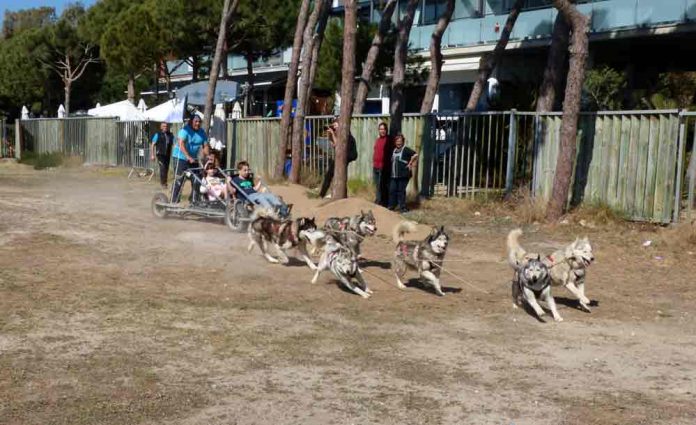 Èxit del III Dog Day