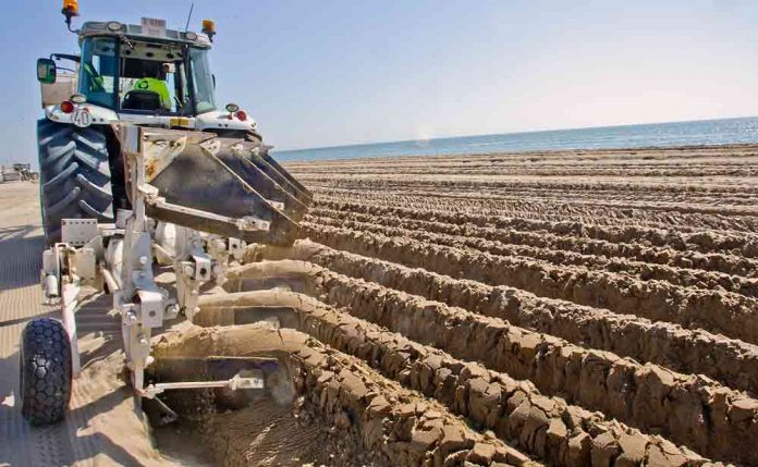 Imatge del llaurat de les platges de 2019