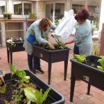 hortsalamero