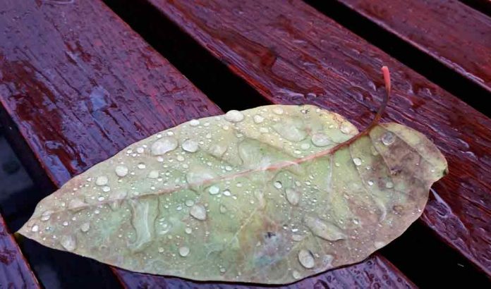 avis-pluja-12345 Avís per Intensitat de pluja