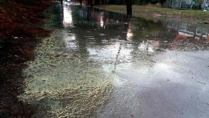 Demà torna la pluja