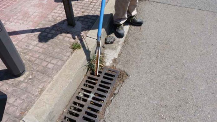 Actuacions a la via pública de control del mosquit tigre