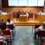 Ple Municipal de juliol