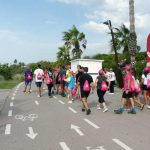 CAMINADA-FAGA-1-2019