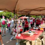 CAMINADA-FAGA-4-2019