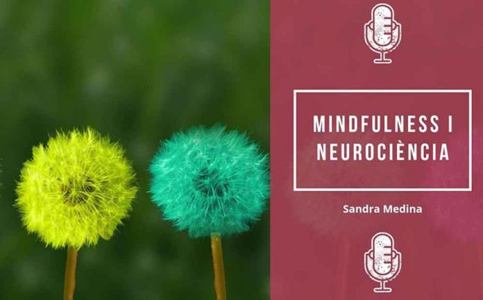 Xerrada sobre els beneficis del mindfulness