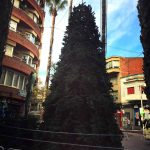 arbre-1-291119
