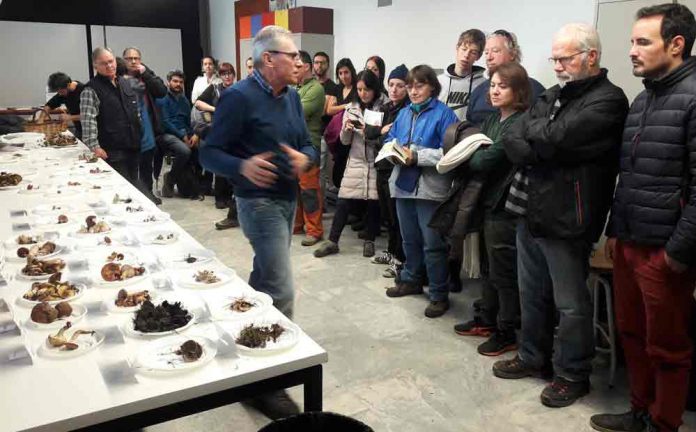AÇADORS DE BOLETS A GAVÀ