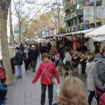 El Mercat de Sant Nicasi, aquest matí