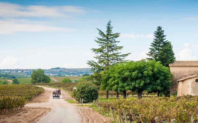 PASSEJADA EN BICI PEL PENEDÈS