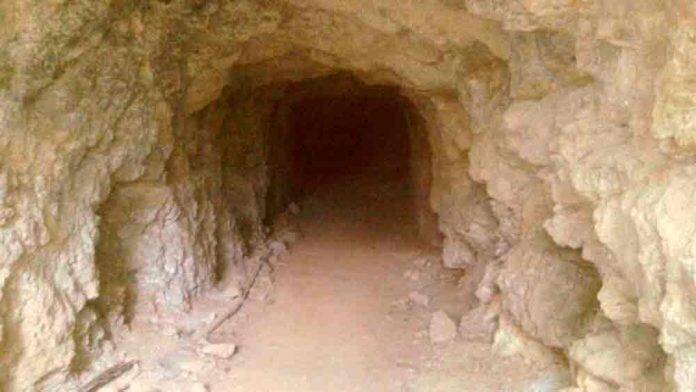 mina-061219 Excursió a les fonts de Gavà