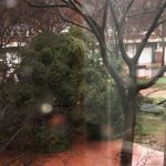 arbre-panes