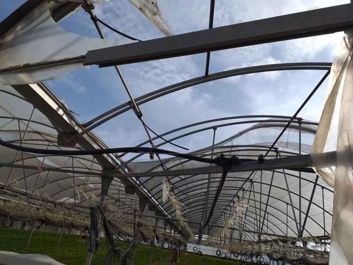 Danys a la zona agrícola