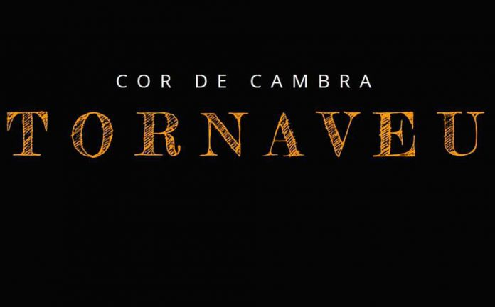 TORNAVEU-100220 El cor Tornaveu busca nova direcció