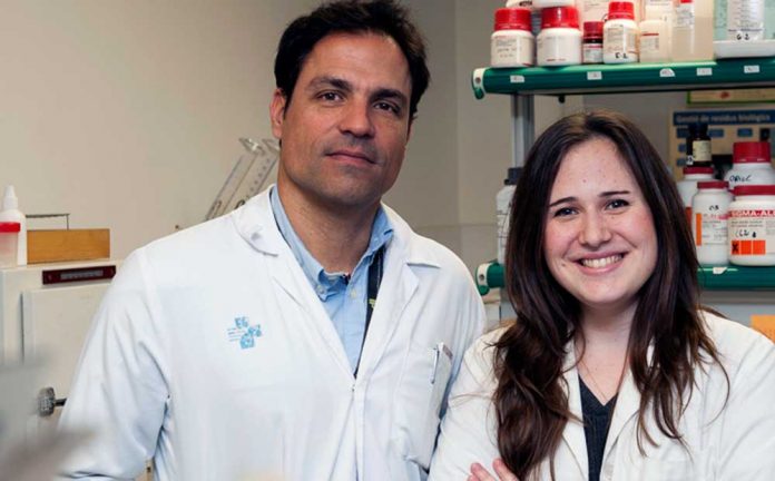 test-220220 Test predictiu per infecció vírica en trasplantats renals