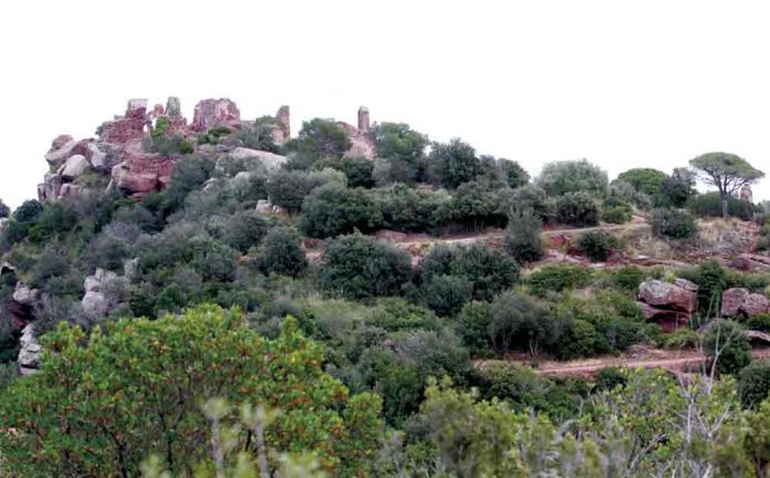 Caminada saludable al Castell