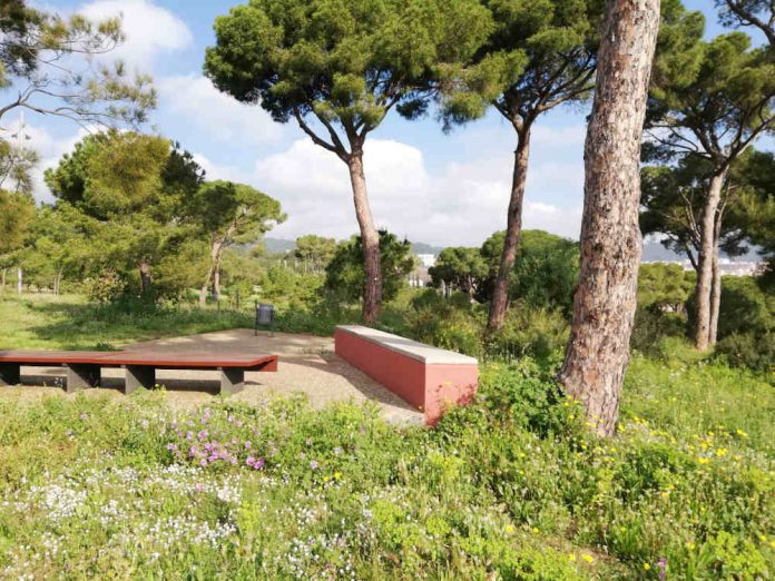 Parc metropolità del Calamot