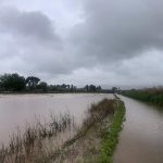 Les pluges estan afectant molt als conreus de Gavà