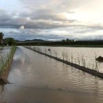Camps de Gavà totalment inundats, aquest matí