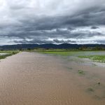 Les pluges han inundat completament els conreus de Gavà