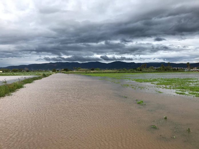 camps inundats