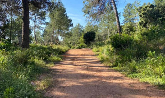 Entitats ecologistes demanen que la gent avisi
