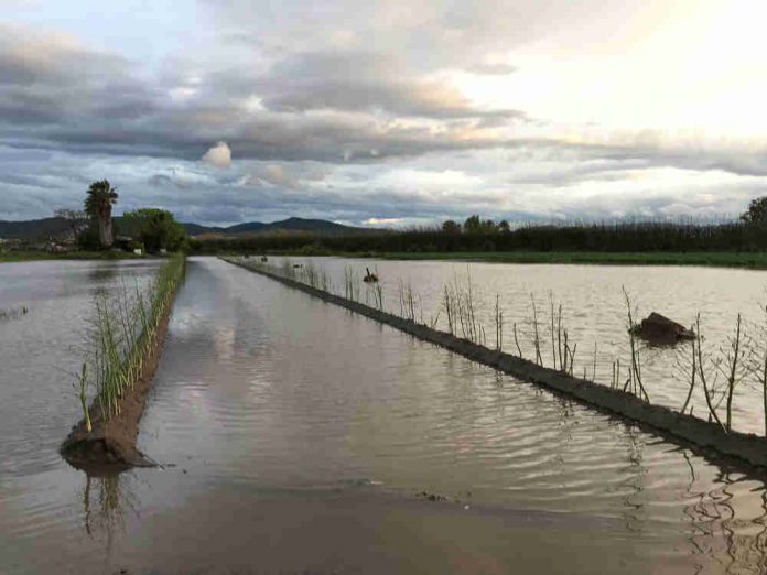 Compromís per invertir en millorar el drenatge al Parc Agrari