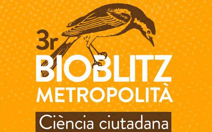 fauna 270520 Recerca sobre fauna i flora als parcs i platges metropolitanes