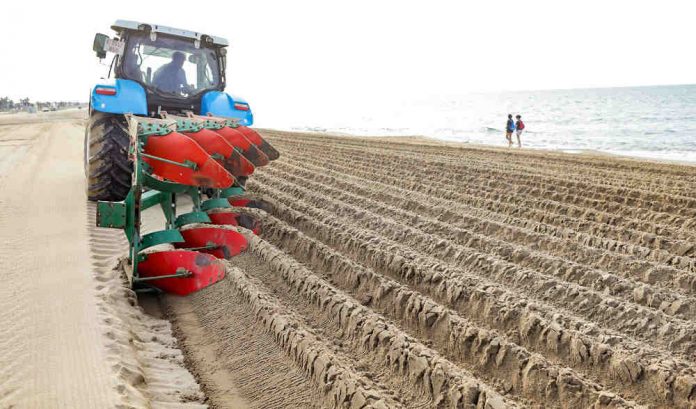 Garbellat de platges 2020