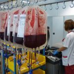 Unitats de sang procedents de donacions, a punt per processar al Banc de Sang i Teixits
