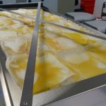 Unitats de plasma procedents de donacions de sang, processades al Banc de Sang i Teixits