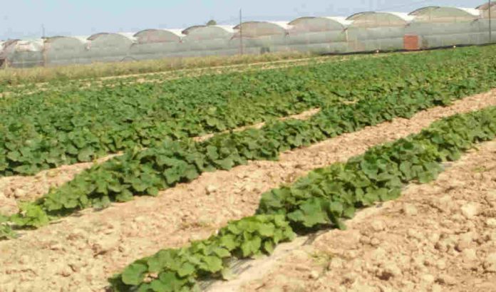 El Parc Agrari convoca tres subvencions